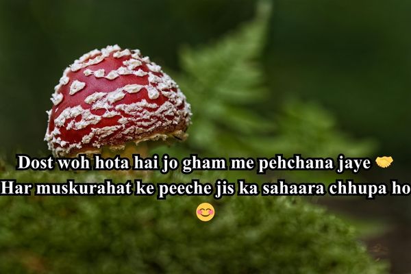 job vacancy dosti shayari