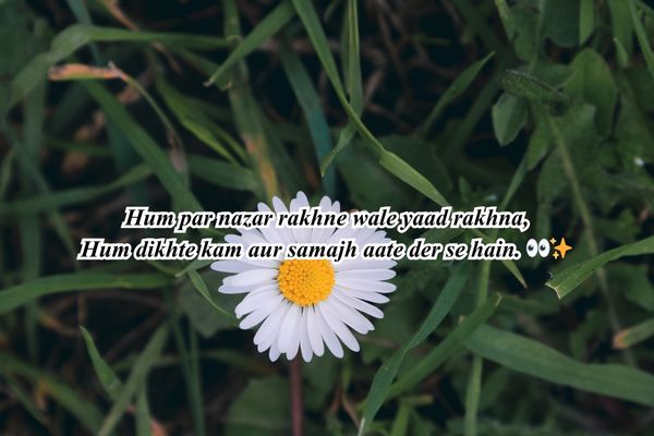 hot shayari in hindi english