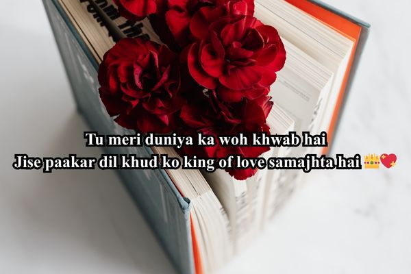 king of india shayari