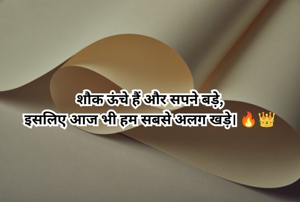 instagram bio shayari hindi​